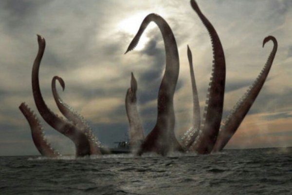 Kraken рабочий